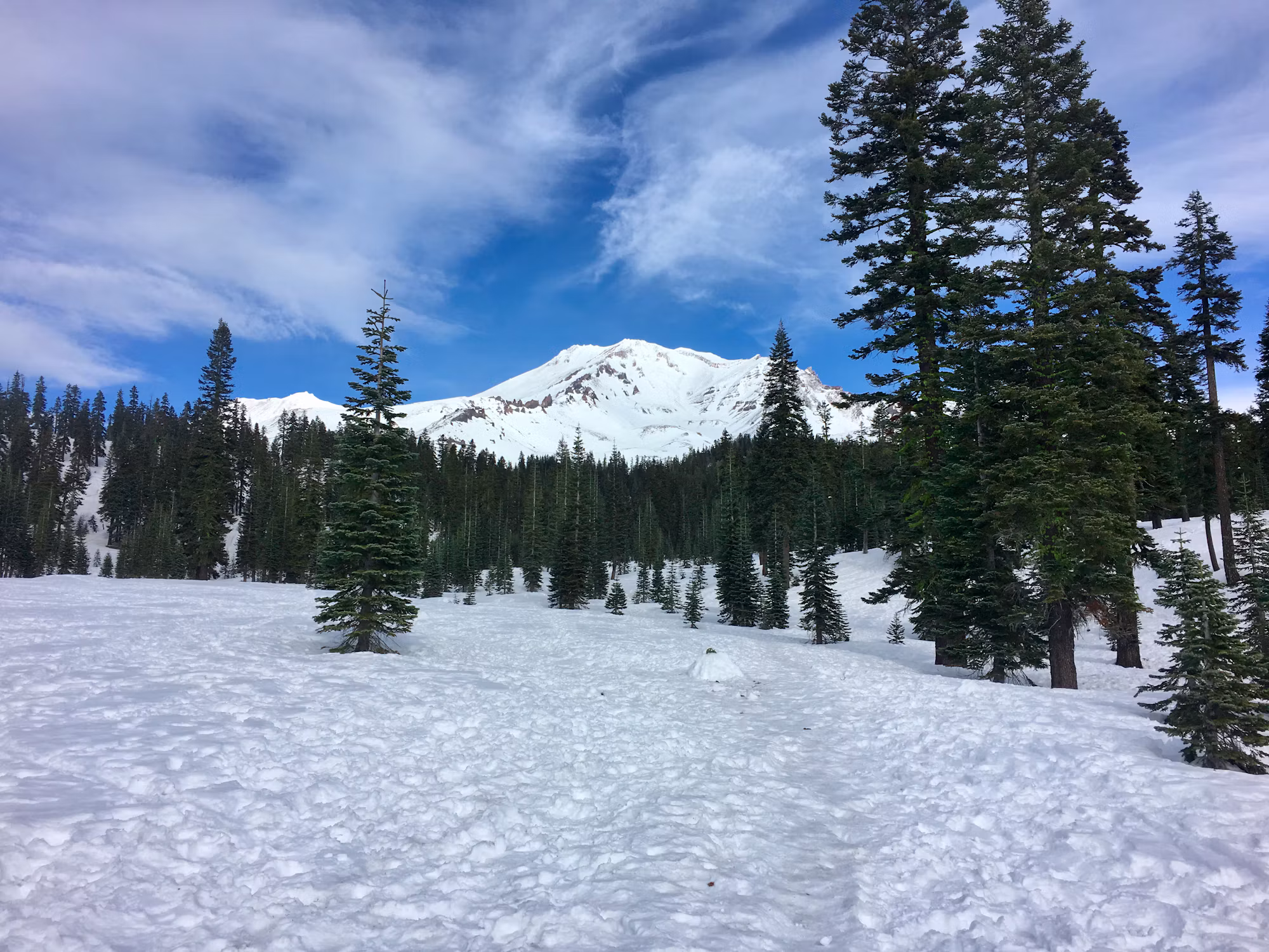 Exploring the Thrill of Freestyle Snowboarding: Tricks, Techniques, and Terrain